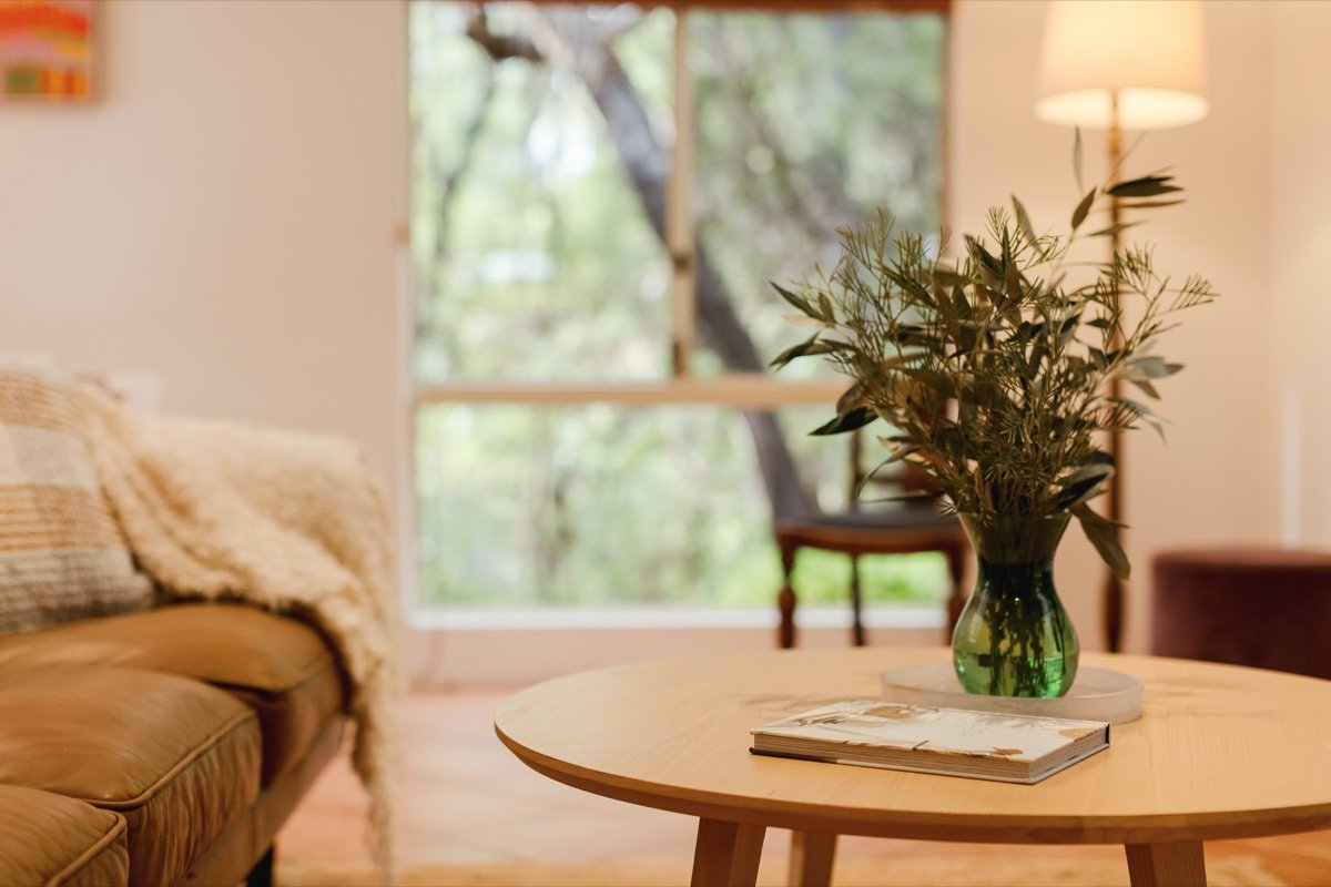 Coffee table with native greenery and forest outlook in the living room