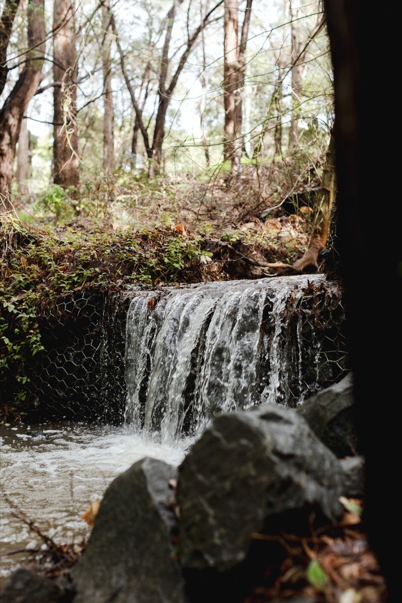A small cascade on the stream below the chalet, tumbling through the forest