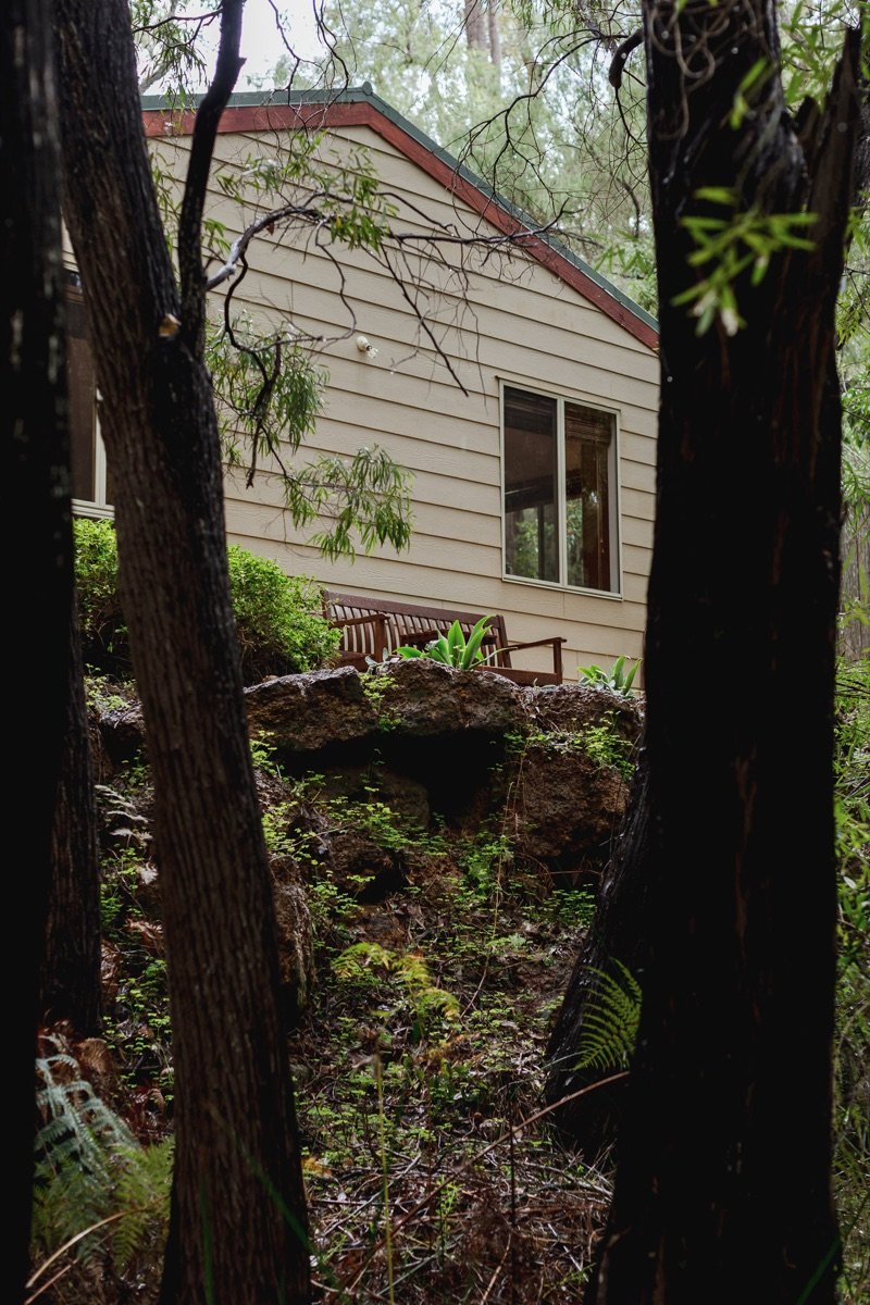 River Reach Chalet glimpsed through tall marri trees from the creek below