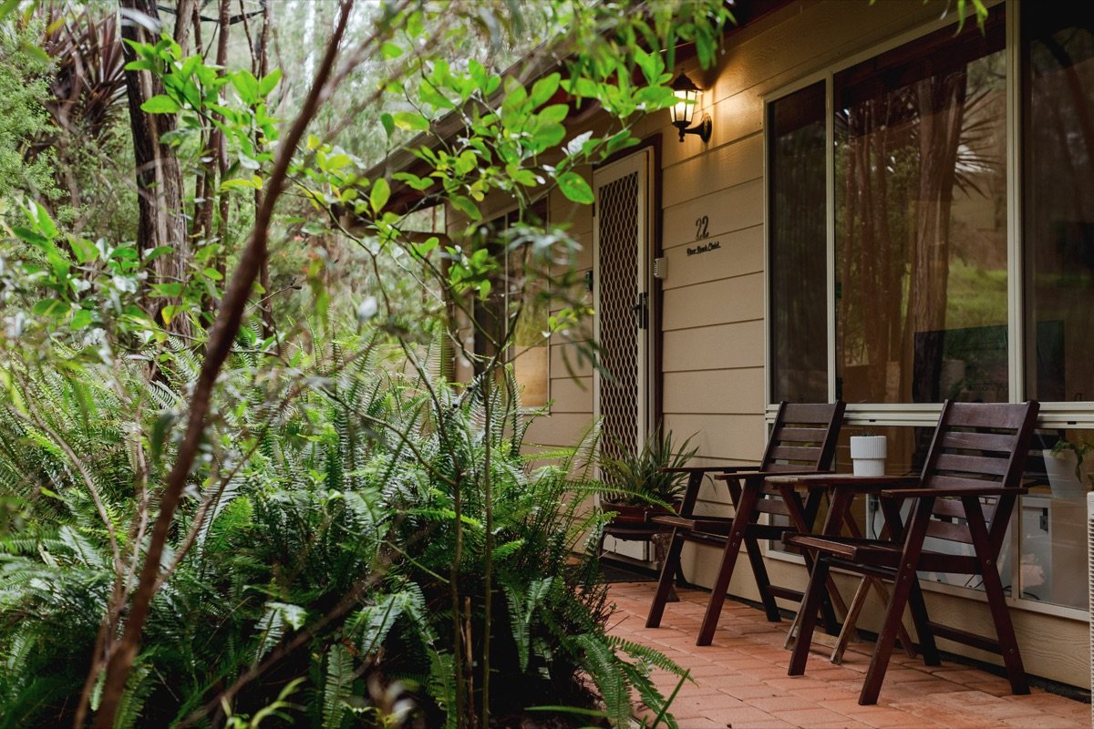 Outdoor setting on the verandah surrounded by ferns and trees