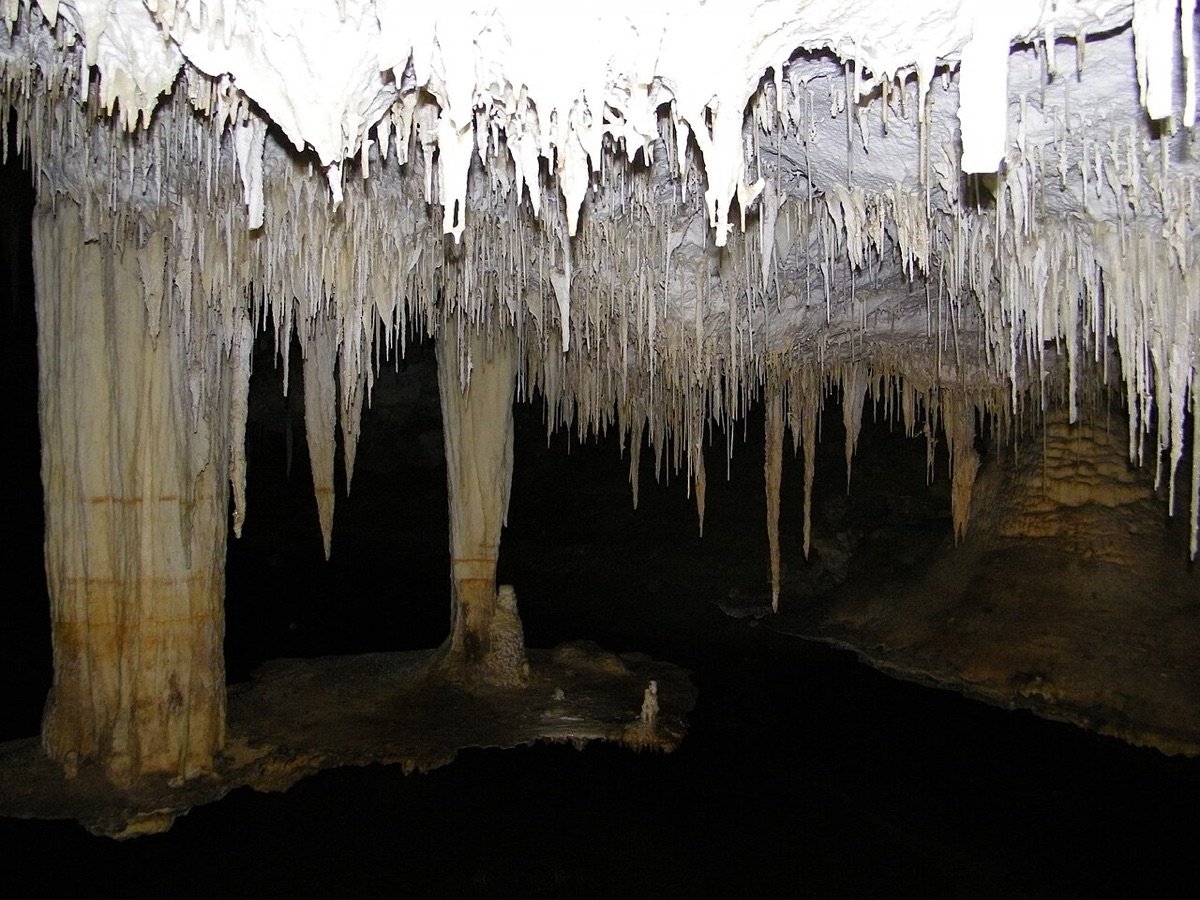 Delicate stalactites inside Lake Cave, Margaret River